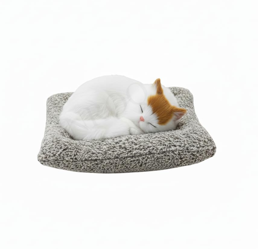 Musical Sleeping Cat Plush Pillow for Kids | Soft Stuffed Animal Cushion Toy with Music